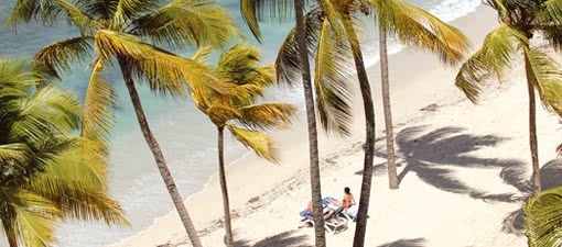 Caraïbes
