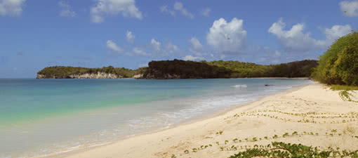 Marie Galante