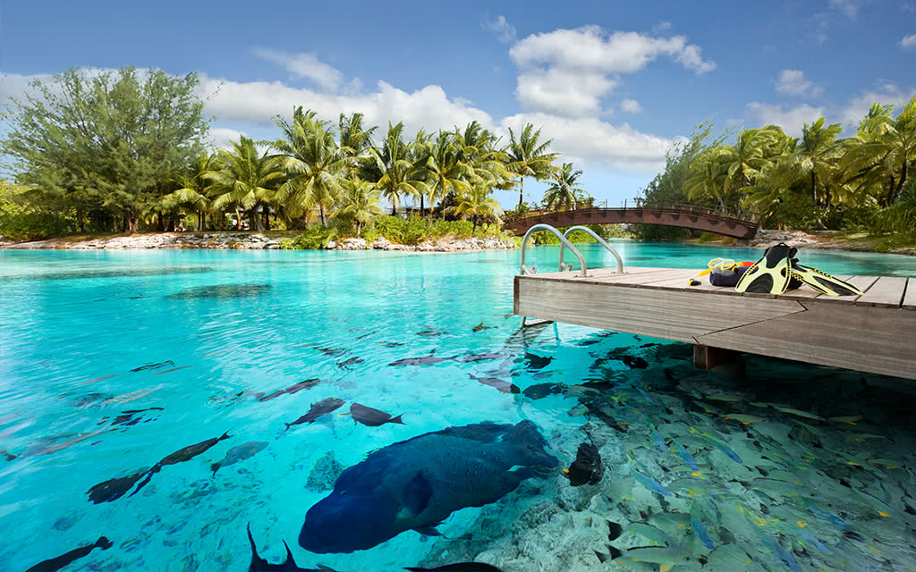 Hôtel The Saint Regis Bora Bora Resort