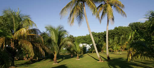 Marie Galante  Kawann Beach Hotel 