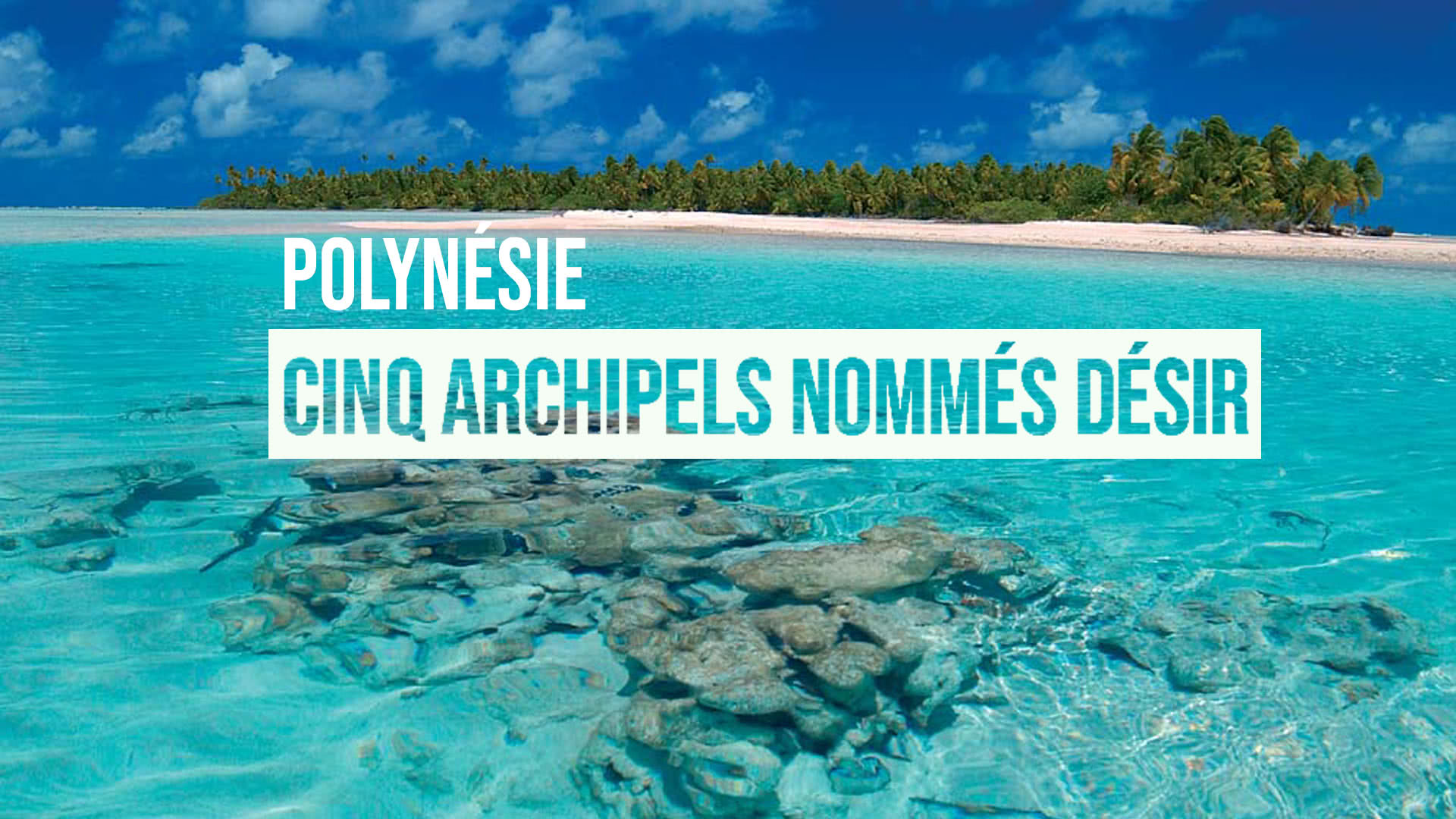 Perles noires célèbres de Tahiti, Rangiroa, Français Polynésie