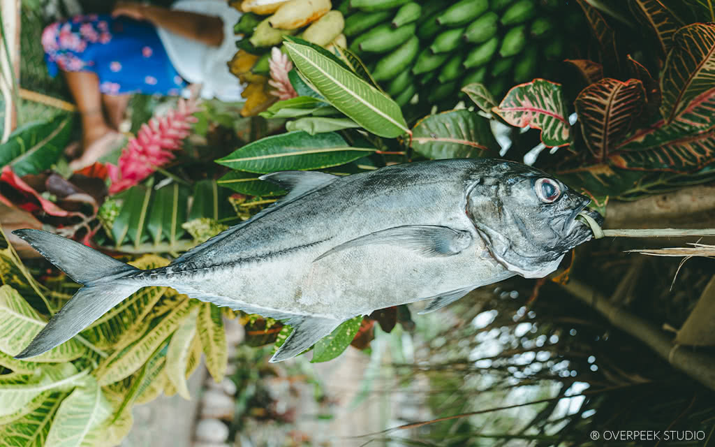 poisson-grille-regime