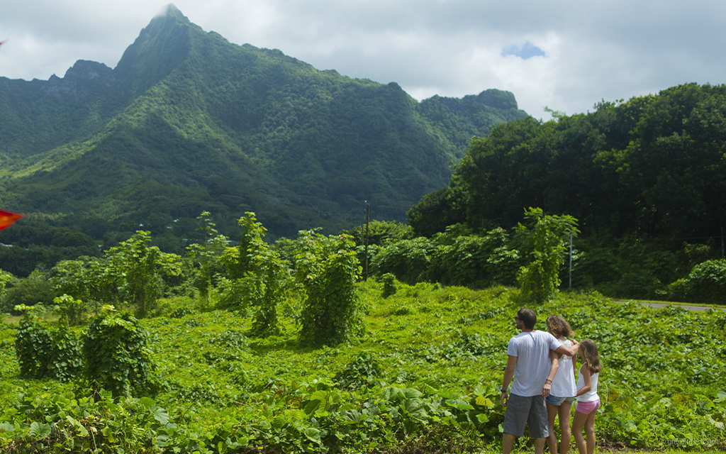 raiatea-randonnee