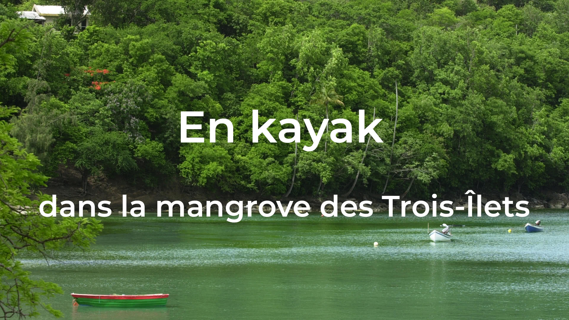 En kayak dans la mangrove des TroisÎlets Blog Exotismes