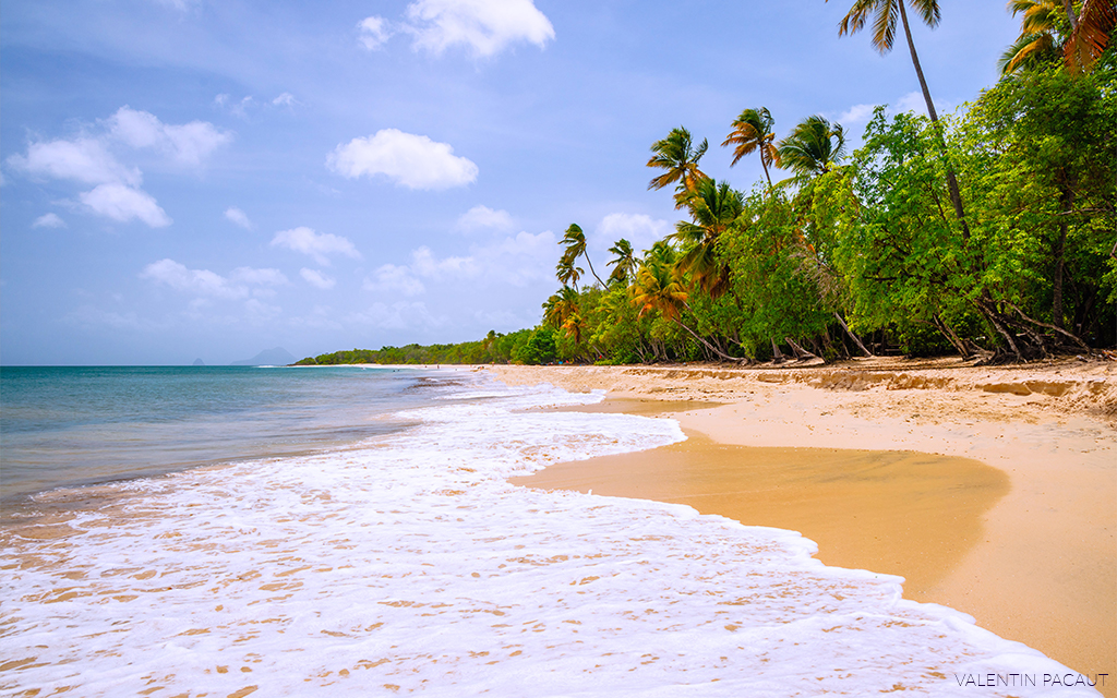 Plage de sable blanc La Martinique