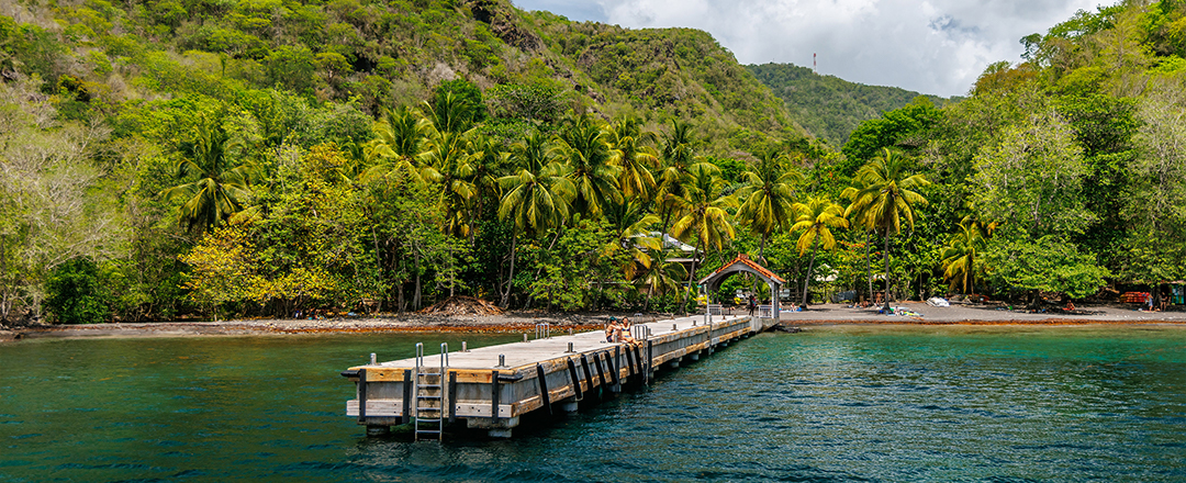 La Martinique les anses d'arlet