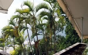 exterieur caraibes
