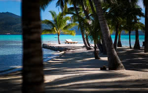 Hôtel Vahine Island