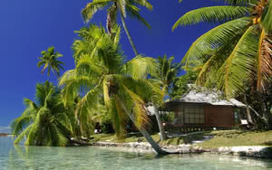 Hôtel Vahine Island