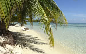 Partez en Moorea. L'hôtel est idéalement situé à proximité de la plage.