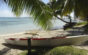 Partez en Moorea. L'hôtel est idéalement situé à proximité de la plage.