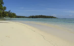 Partez en Moorea. L'hôtel est idéalement situé à proximité de la plage.