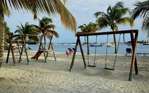 plage saint martin flamboyant