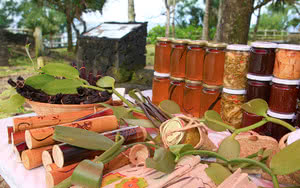 Sud Sauvage Ile de la Réunion