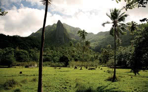 Partez en Tahiti.
