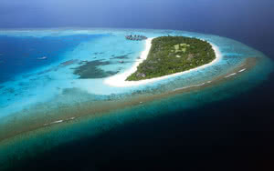 Restez dans un superbe hôtel Hôtel Coco Palm Dhuni Kolhu. Partez en Maldives.