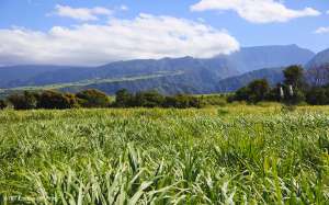 Excursions sur l'île de La Réunion - Package Vanille 3 jours