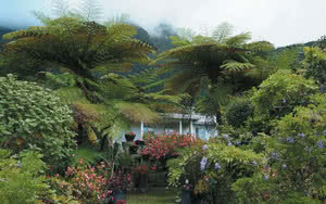 Excursions sur l'île de La Réunion - Package Vanille 3 jours