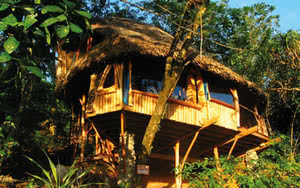 Vanira Lodge