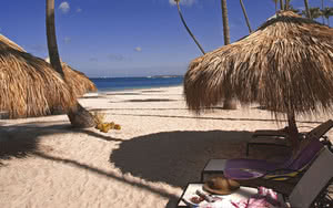 plage hotel palma real