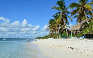 Excursion île Catalina - Départ de Bayahibe