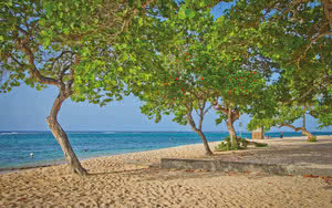 L'h�tel est id�alement situ� � proximit� de la plage. Partez en Guadeloupe.