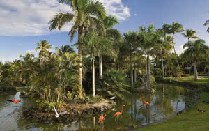 Restez dans un superbe hôtel Melia Caribe Beach Resort. Partez en République Dominicaine.