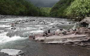 Tahiti - Safari 4x4 jusqu'au Lac Vaihira