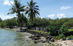Culture et découverte de Raiatea