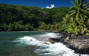 L'essentiel de l'île de Tahiti à la demi journée