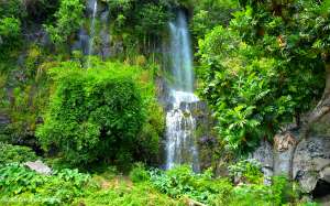 Excursions sur l'île de La Réunion - Package Vanille 4 jours