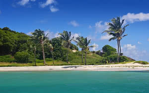 Croisière Grenadines Catlante C620 Confort- 7 nuits