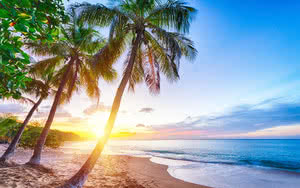 Croisière Guadeloupe Dominique Catlante C600 Standard - 7 nuits