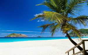 Croisière Turquoise Saint Barthélémy Catlante C600 Standard - 07 nuits