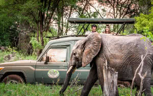 elephant safari saadani 3 nuit