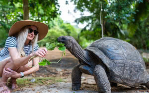 Niva Labriz Seychelles