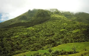Auberge de la Montagne Pelée
