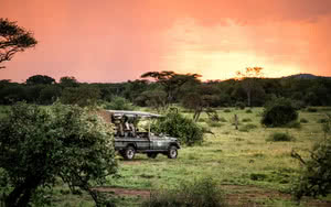 coucher du soleil safari saadani 2 nuits