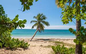 Croisière Grenadines Catlante C600J Standard - 7 nuits