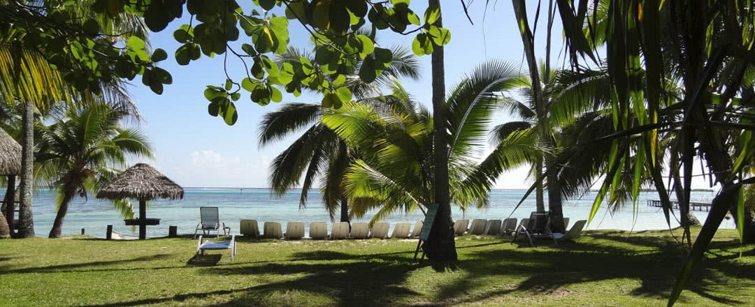 Partez en Moorea. L'hôtel est idéalement situé à proximité de la plage.