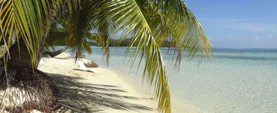 Partez en Moorea. L'hôtel est idéalement situé à proximité de la plage.