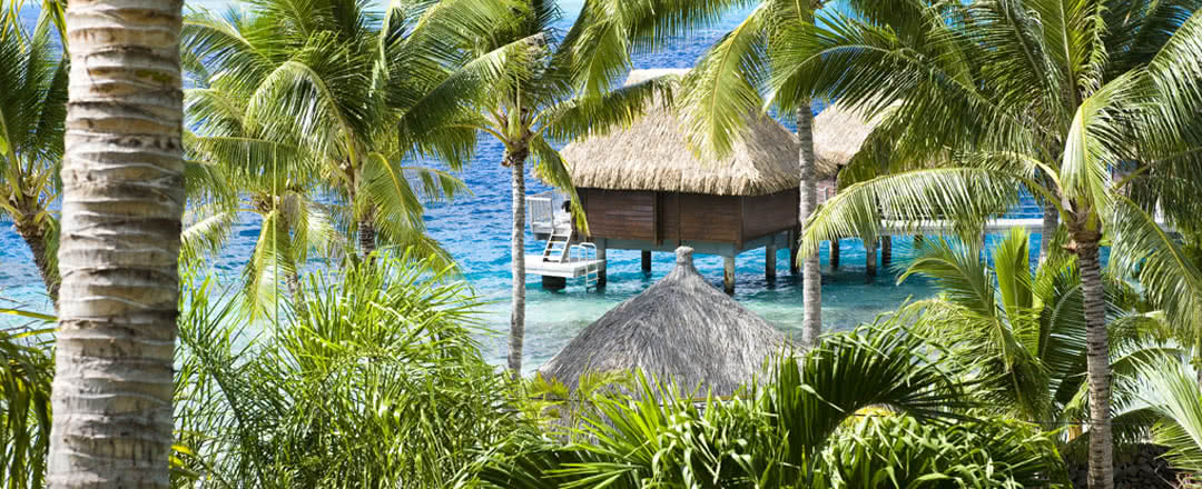 L'hôtel est idéalement situé à proximité de la plage. Partez en Bora Bora.