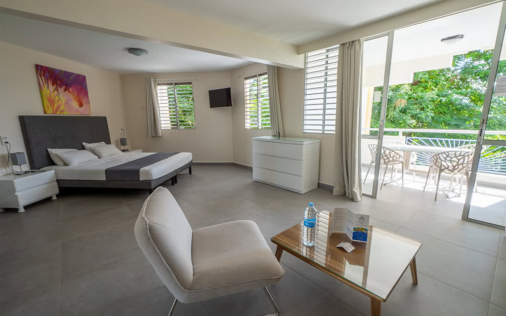 Junior Suite Vue PiscineJardin