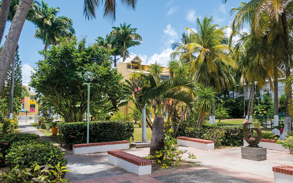 Image 15 du séjour Hôtel Canella Beach 3* à Gosier, Guadeloupe