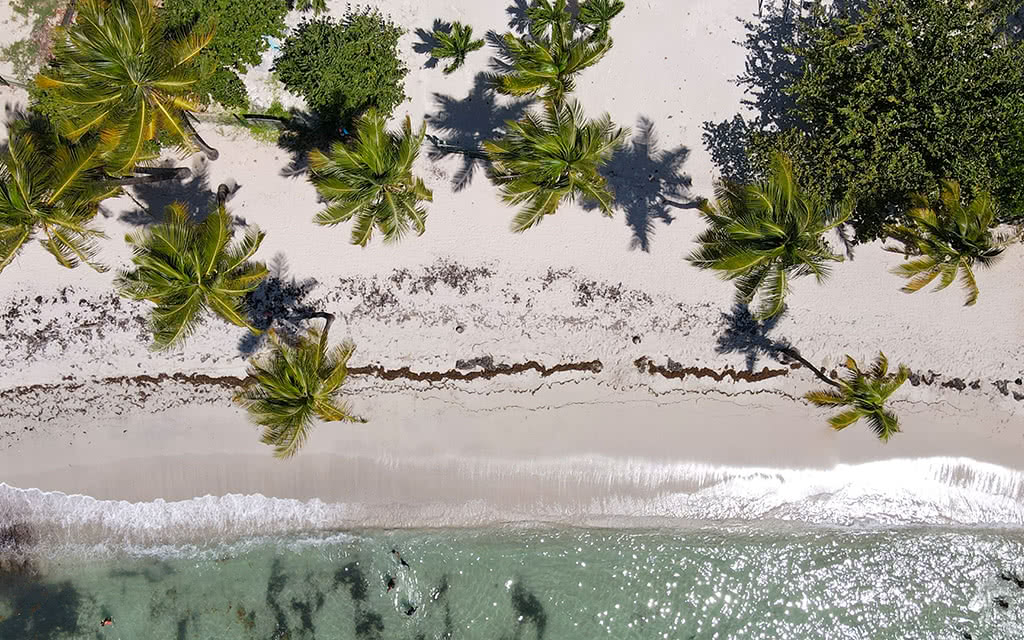Arawak Beach Resort - visuel 2