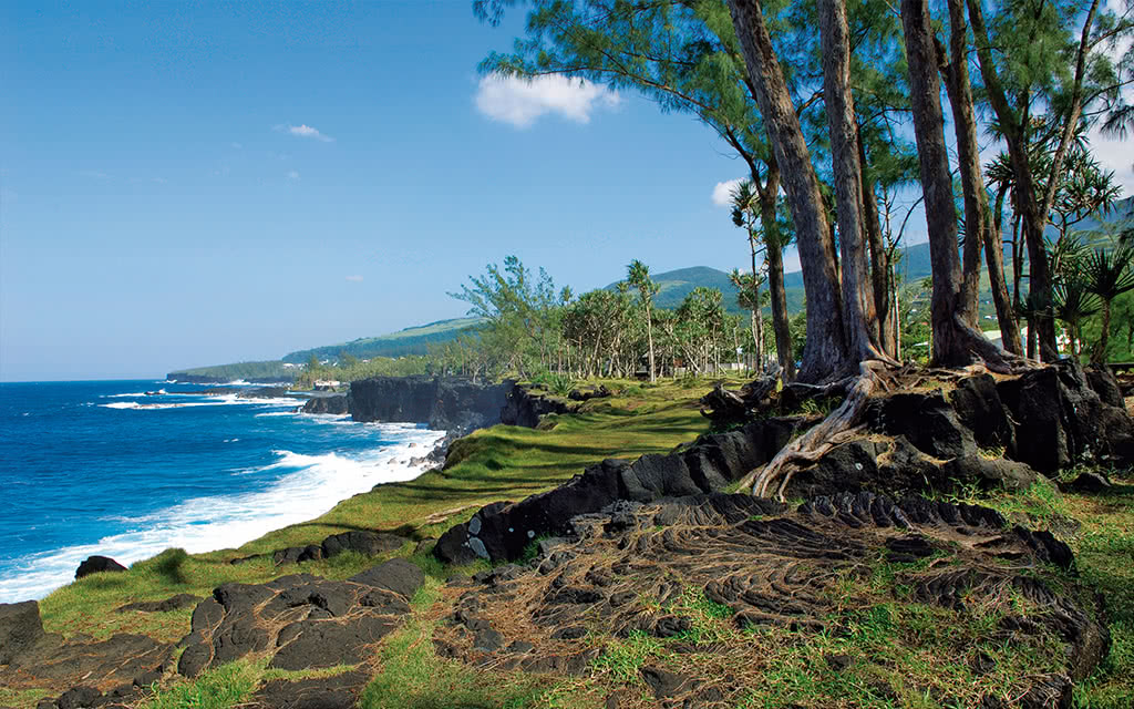 Sud Sauvage Ile de la Réunion