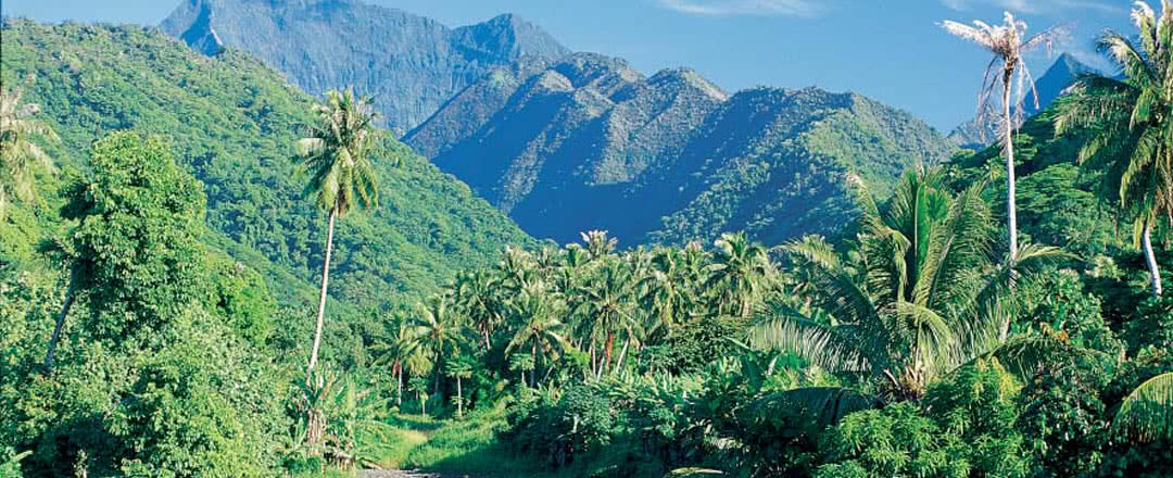 Partez en Tahiti.