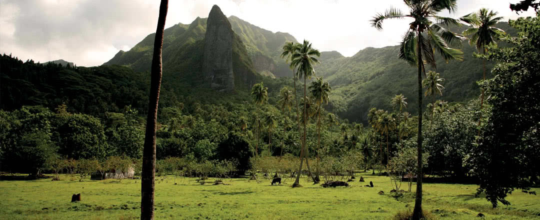 Partez en Tahiti.