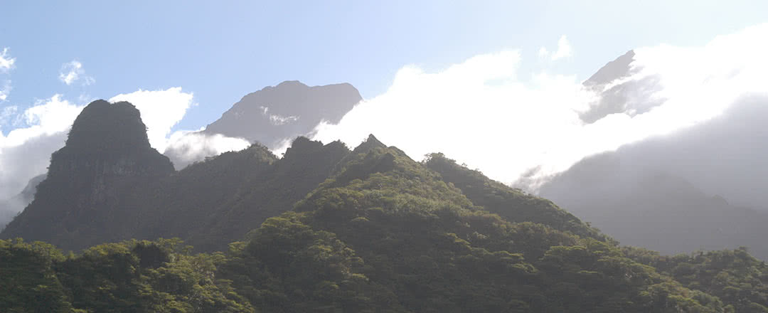 Partez en Tahiti.