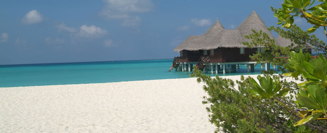 Partez en Maldives. L'hôtel est idéalement situé à proximité de la plage.